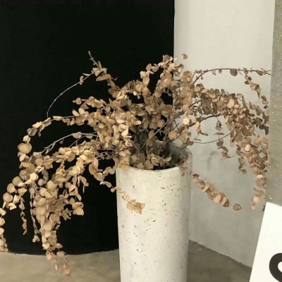 慈利FurryQQ群介绍